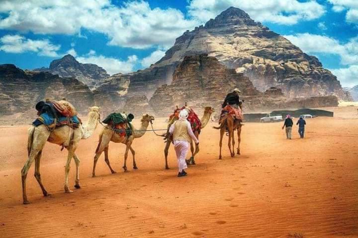 Rum Titanic Camp Wadi Rum Exteriér fotografie