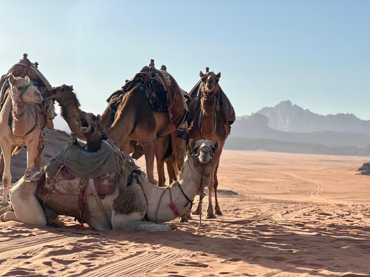 Rum Titanic Camp Wadi Rum Exteriér fotografie